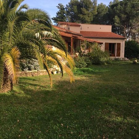 Bed and Breakfast Les Alberes Sorède Exterior foto